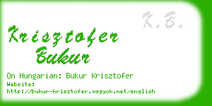 krisztofer bukur business card